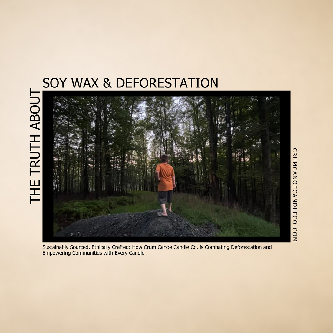 The Truth About Soy Wax & Deforestation