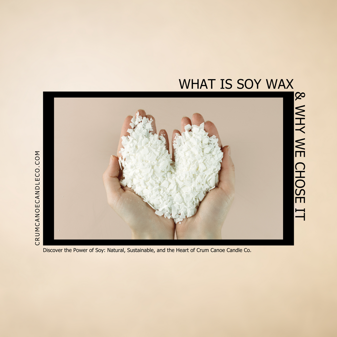 Why We Chose Soy Wax